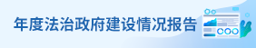年度法治政府建設情況報告